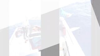 BIG FISH ALANYA что за трофей и где в Alanya бывает клев