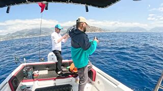 BIG FISH ALANYA что за трофей и где в Alanya бывает клев