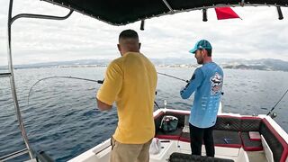 BIG FISH ALANYA что за трофей и где в Alanya бывает клев