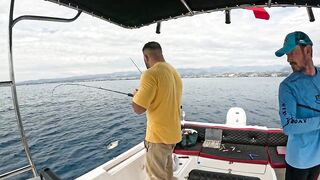 BIG FISH ALANYA что за трофей и где в Alanya бывает клев