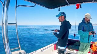 BIG FISH ALANYA что за трофей и где в Alanya бывает клев