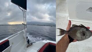 Курортная рыбалка в Alanya на Средиземном море с лодки и берега