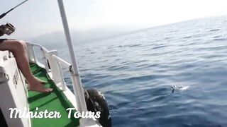 морская рыбалка в Alanya с Minister Tours реальный улов и формат тура без обещаний
