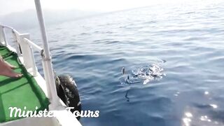 морская рыбалка в Alanya с Minister Tours реальный улов и формат тура без обещаний