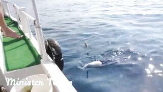 морская рыбалка в Alanya с Minister Tours реальный улов и формат тура без обещаний