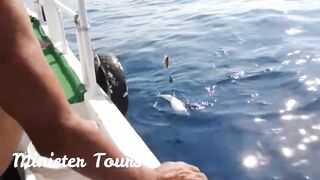 морская рыбалка в Alanya с Minister Tours реальный улов и формат тура без обещаний