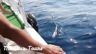 морская рыбалка в Alanya с Minister Tours реальный улов и формат тура без обещаний