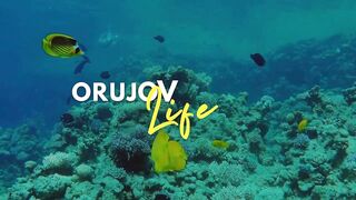 Охота на amberjack в Alanya, Turkey и трофейные поклёвки в Средиземном море