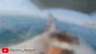 Охота на amberjack в Alanya, Turkey и трофейные поклёвки в Средиземном море