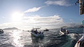 Рыболовный турнир в Alanya 7th Alanya Balik и наши уловы на Средиземном море