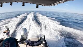 Рыболовный турнир в Alanya 7th Alanya Balik и наши уловы на Средиземном море