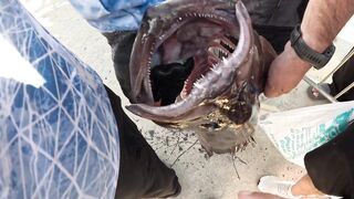 Рыболовный турнир в Alanya 7th Alanya Balik и наши уловы на Средиземном море