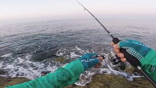 LRF ловля Tral в Alanya Konakli на ультралайт с берега и пирса