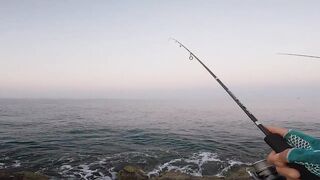 LRF ловля Tral в Alanya Konakli на ультралайт с берега и пирса