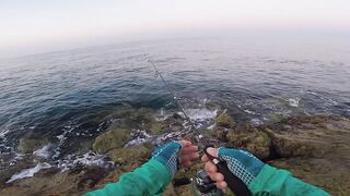 LRF ловля Tral в Alanya Konakli на ультралайт с берега и пирса