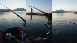 Alanya su üstü balık avı продолжение и ловля у поверхности