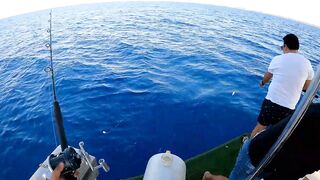 Antalya Fishing Tour bonito поймали и приготовили на борту как получилось