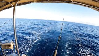 Antalya Fishing Tour bonito поймали и приготовили на борту как получилось