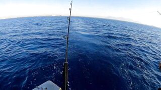 Antalya Fishing Tour bonito поймали и приготовили на борту как получилось