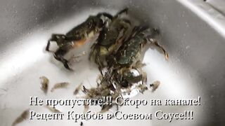 Анталья - наша первая рыбалка женскими глазами, как это выглядит без прикрас