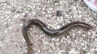 Анталья - наша первая рыбалка женскими глазами, как это выглядит без прикрас