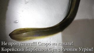 Анталья - наша первая рыбалка женскими глазами, как это выглядит без прикрас