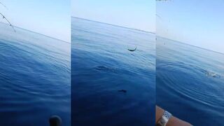 морская рыбалка в Antalya сезон 2023 что клевало и на какие приманки