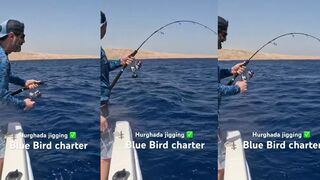 Guess the fish угадай рыбу по кадру и как ее ловят на море