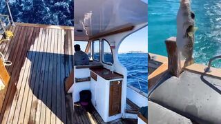 Hurghada морская рыбалка для всех форматы поездок и что брать с собой