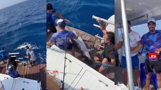 Hurghada Egypt, Nour El Shams: как на Красном море поймали меч-рыбу на любительской рыбалке