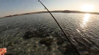 Морская рыбалка в Египте с берега, Хургада 2025: где самому половить с мостков и пляжа