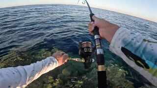 Морская рыбалка в Египте с берега, Хургада 2025: где самому половить с мостков и пляжа