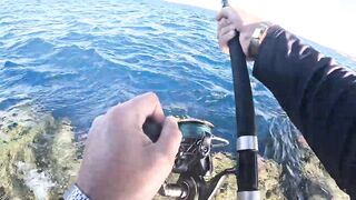 Морская рыбалка в Хургаде: как поймать огромного GT на Красном море