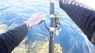 Морская рыбалка в Хургаде: как поймать огромного GT на Красном море