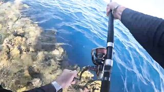 Морская рыбалка в Хургаде: как поймать огромного GT на Красном море