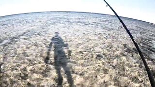 Морская рыбалка в Хургаде: как поймать огромного GT на Красном море