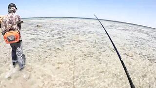 Морская рыбалка в Хургаде: как поймать огромного GT на Красном море