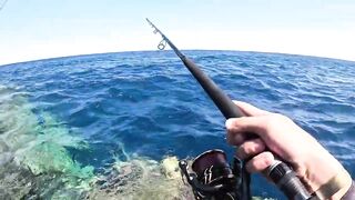 Морская рыбалка в Хургаде: как поймать огромного GT на Красном море