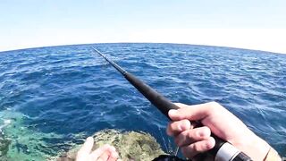 Морская рыбалка в Хургаде: как поймать огромного GT на Красном море