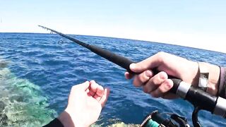 Морская рыбалка в Хургаде: как поймать огромного GT на Красном море