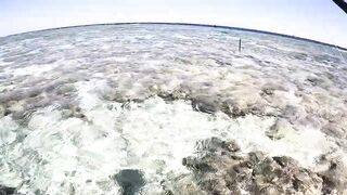 Морская рыбалка в Хургаде: как поймать огромного GT на Красном море