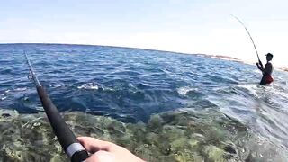 Морская рыбалка в Хургаде: как поймать огромного GT на Красном море