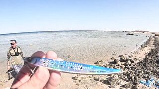 Морская рыбалка в Хургаде: как поймать огромного GT на Красном море