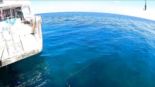 Хургада: рыбалка с лодки на Красном море, как прошел выход