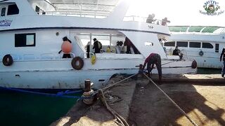 Хургада: рыбалка с лодки на Красном море, как прошел выход