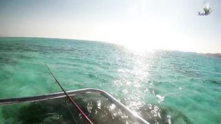 Хургада: рыбалка с лодки на Красном море, как прошел выход
