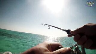 Хургада: рыбалка с лодки на Красном море, как прошел выход