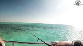 Хургада: рыбалка с лодки на Красном море, как прошел выход
