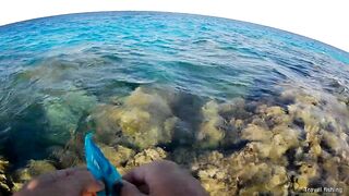 Рыбалка в Хургаде с берега часть 1 камни и первые поклевки на рассвете