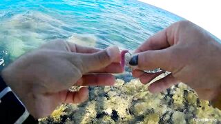 Рыбалка в Хургаде с берега часть 1 камни и первые поклевки на рассвете